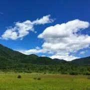 テンポマの画像