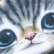 kumaltの画像