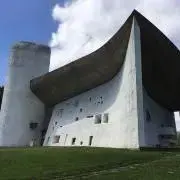 らくだの画像