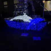 ぎんねこ