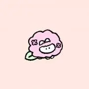 かもみーるの画像