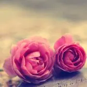 Yuuの画像