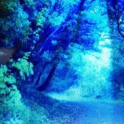 Aromatic Blueの画像