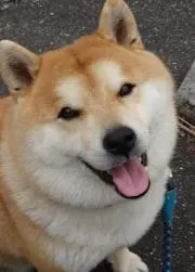 ツトム君の画像