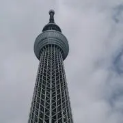 サム ＊しばらく発送期間未定＊