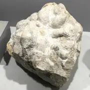 haruchanの画像