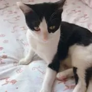 じゅの画像