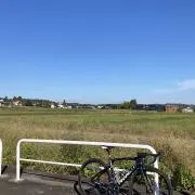パナ