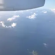 とむの画像