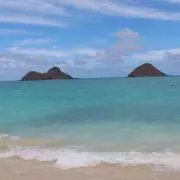 パイナップルの画像