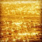 うじ虫の画像