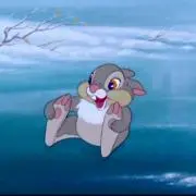 ybccの画像