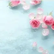 C'est la vieの画像