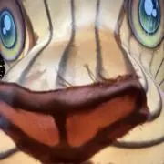 かつおの画像