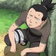 みかんの画像
