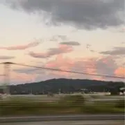 メロンの画像