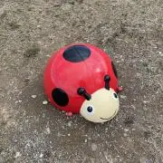 てんとう虫の画像