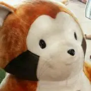 ぐっ