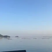 たたすの画像