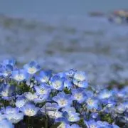 まる。の画像