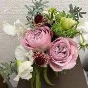 みえの画像