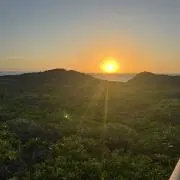 ごんちゃすの画像