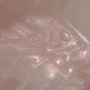 mの画像