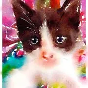 ふもっふ