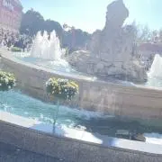 Hanaの画像