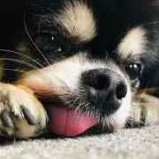 Na