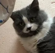 Akiの画像
