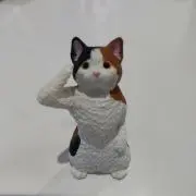 すかぽんの画像