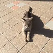 ろく