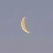 そにの画像