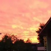 ぽてとへっと。