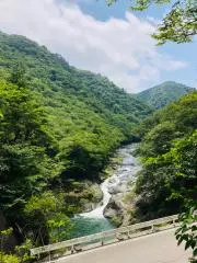 THE earthの画像
