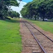 usausの画像