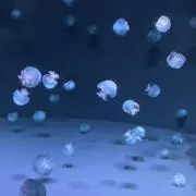 あのの画像