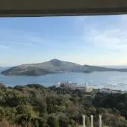 hinaの画像