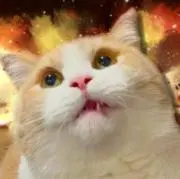 水たまりの画像