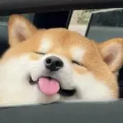 飯田YUUの画像