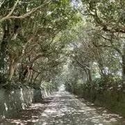 nagunaroku1986の画像