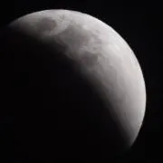 ☆シナモン☆の画像
