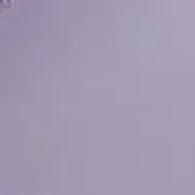 Rayの画像