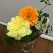 ゆうゆうまる