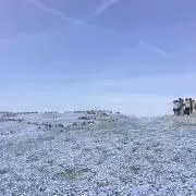 くま6月30日〜7月11日対応不可の画像