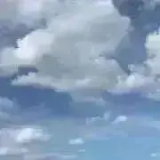 iomの画像