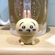 アレンの画像