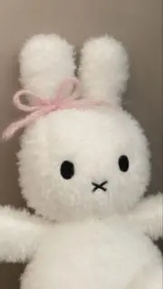 まりもの画像