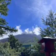 Fujiの画像